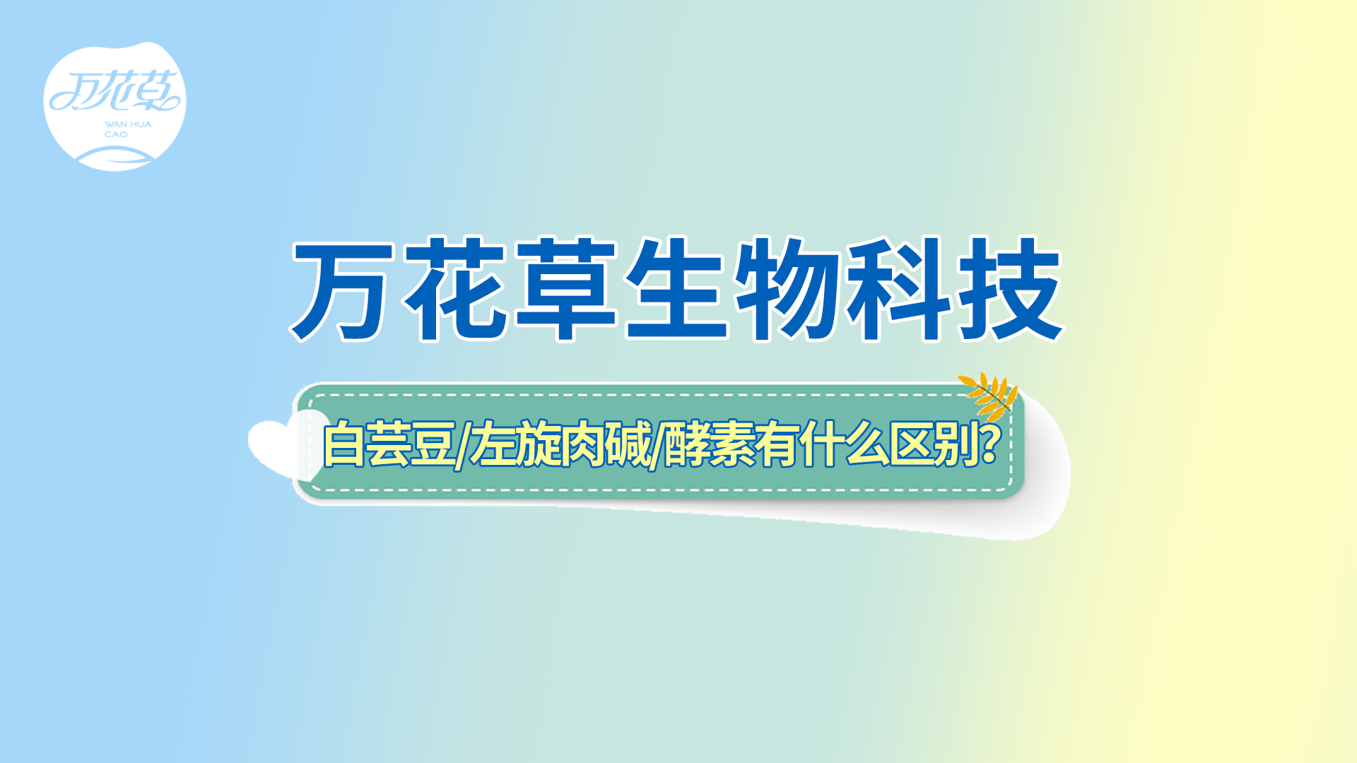 白蕓豆、左旋肉堿、嗨吃酵素有什么區(qū)別？